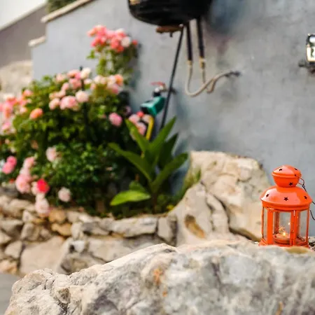 House Tea In A Beautiful Nature *